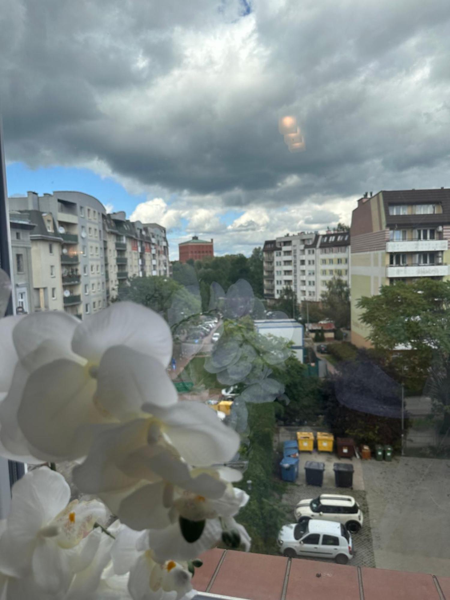 Apartament Diana - Traugutta ヴロツワフ エクステリア 写真