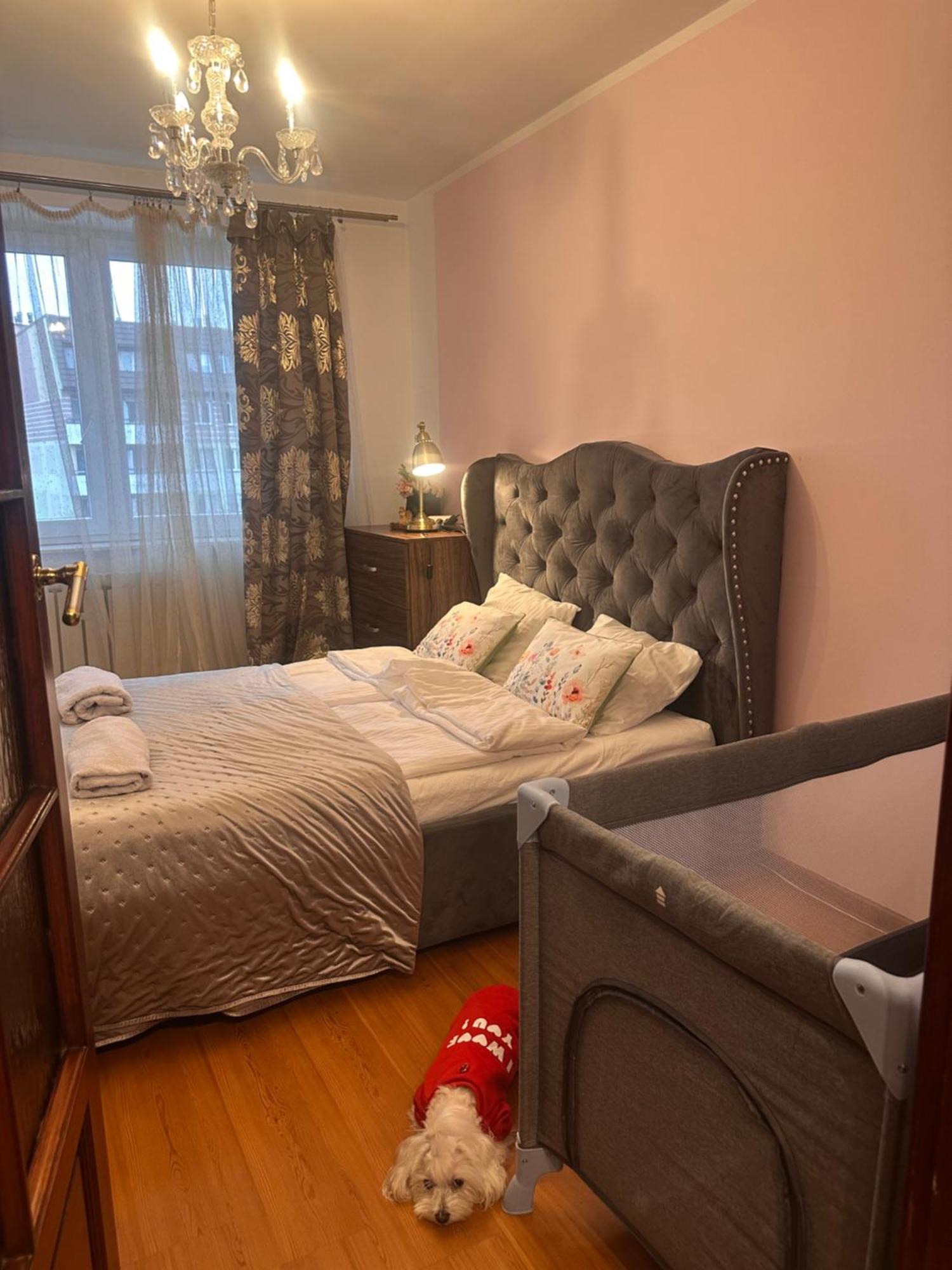 Apartament Diana - Traugutta ヴロツワフ エクステリア 写真